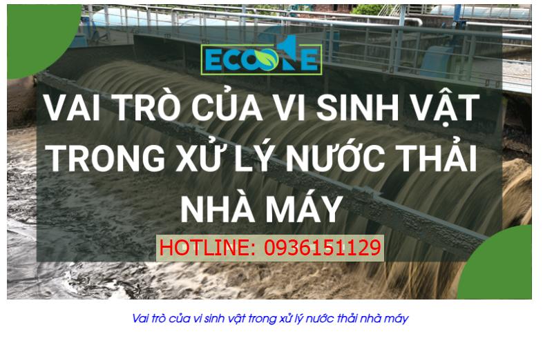 Vai trò của vi sinh vật trong xử lý nước thải nhà máy